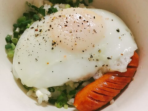 ありもので作る☆主婦ごはん丼